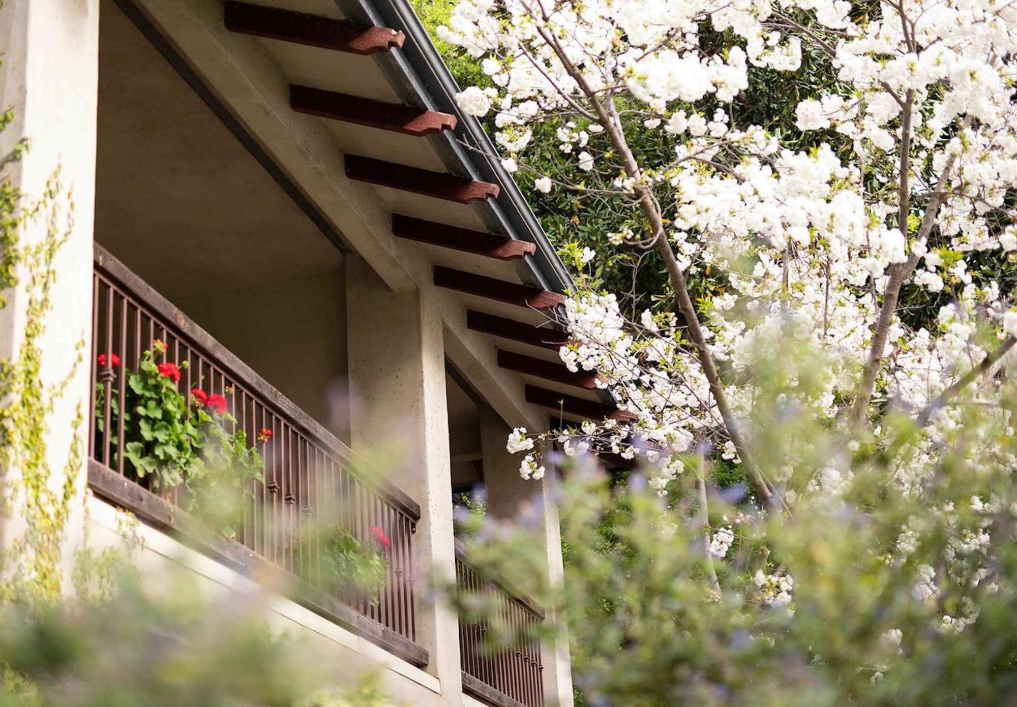 Wine & Roses Hotel Restaurant Spa ロディ エクステリア 写真